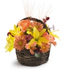 Sensational Splendor Basket from Olney's Flowers of Rome in Rome, NY